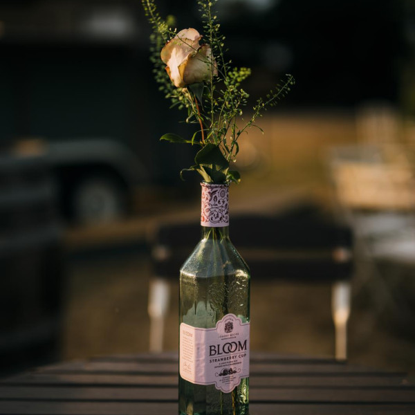 Gin Bottles 3